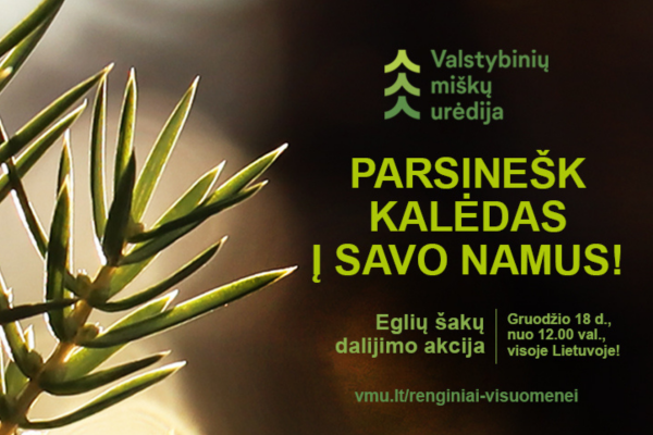 Gruodžio 18 d. visoje Lietuvoje vyks tradicinė akcija „Parsinešk Kalėdas į savo namus“